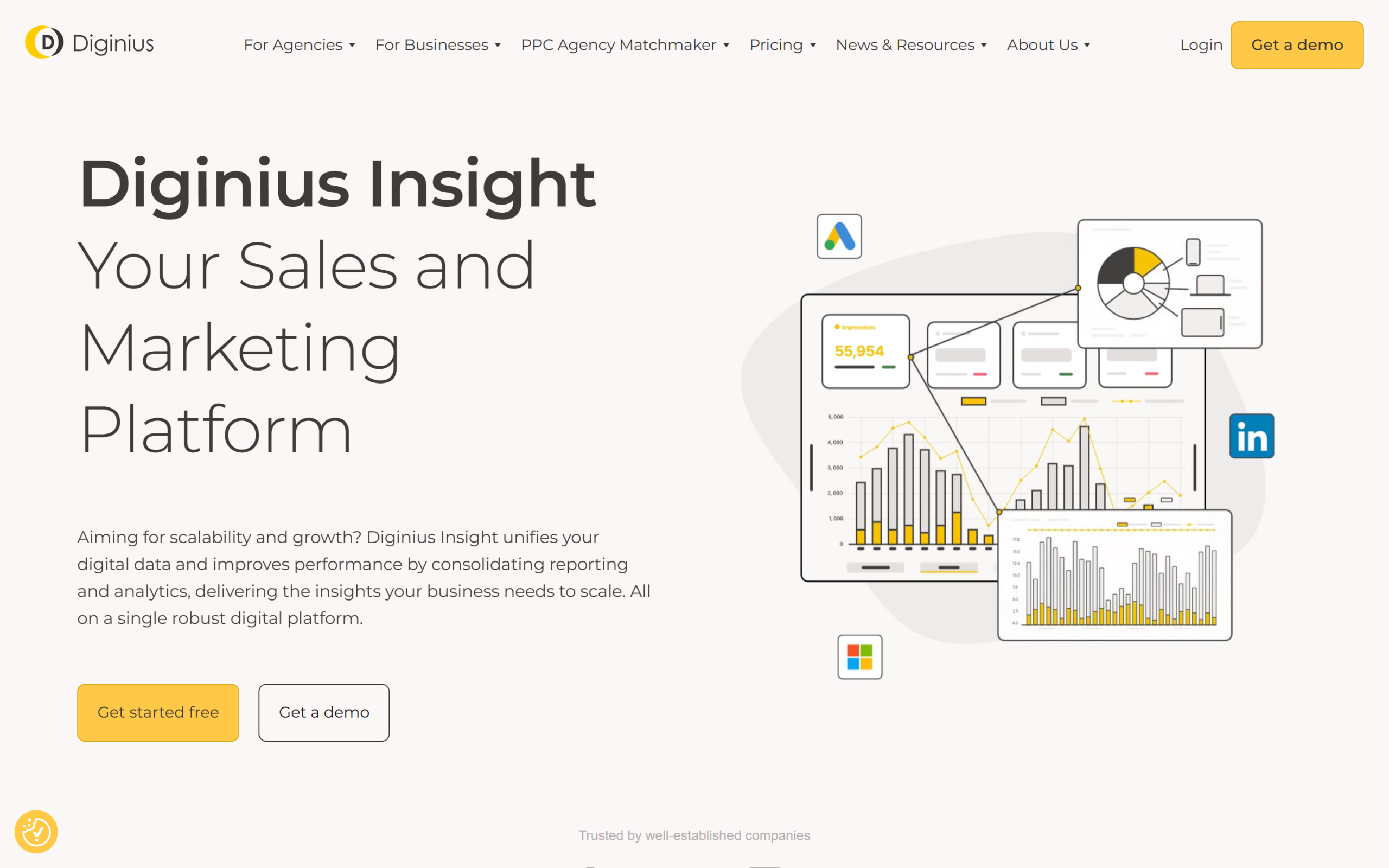 Diginius review of the homepage showing the unified marketing and PPC reporting platform